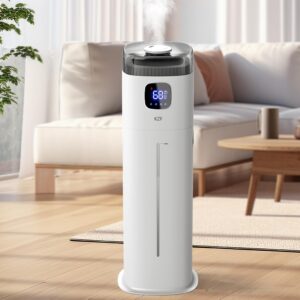 Humidifier for Large Bedroom